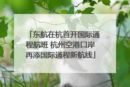 东航在杭首开国际通程航班 杭州空港口岸再添国际通程新航线