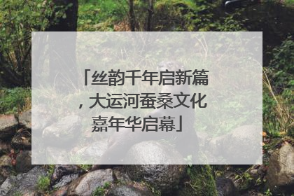 丝韵千年启新篇，大运河蚕桑文化嘉年华启幕