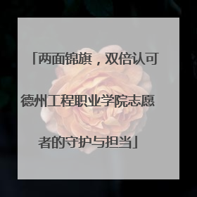 两面锦旗，双倍认可德州工程职业学院志愿者的守护与担当