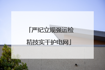 严纪立规强运检 精技实干护电网