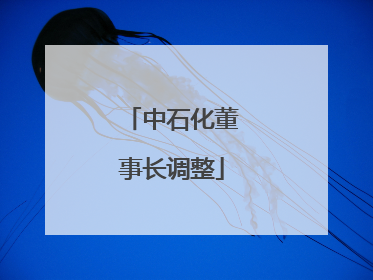 中石化董事长调整