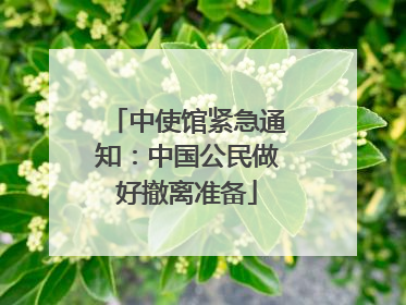 中使馆紧急通知：中国公民做好撤离准备