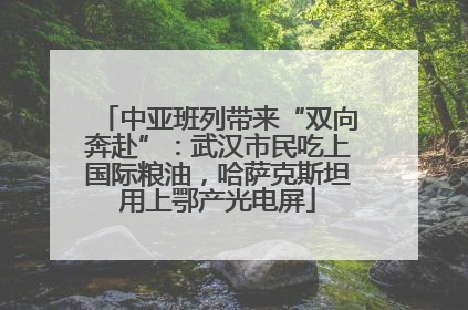 中亚班列带来“双向奔赴”：武汉市民吃上国际粮油，哈萨克斯坦用上鄂产光电屏