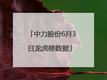 中力股份6月3日龙虎榜数据