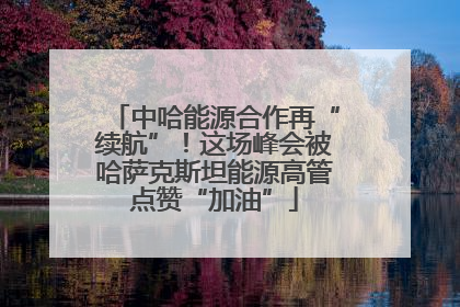 中哈能源合作再“续航”！这场峰会被哈萨克斯坦能源高管点赞“加油”