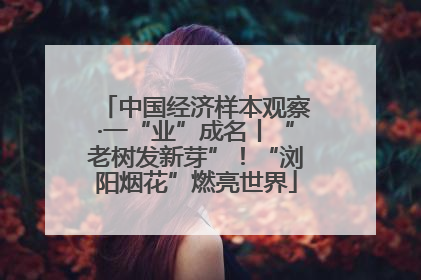 中国经济样本观察·一“业”成名丨“老树发新芽”！“浏阳烟花”燃亮世界