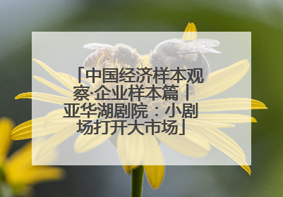 中国经济样本观察·企业样本篇︱亚华湖剧院：小剧场打开大市场