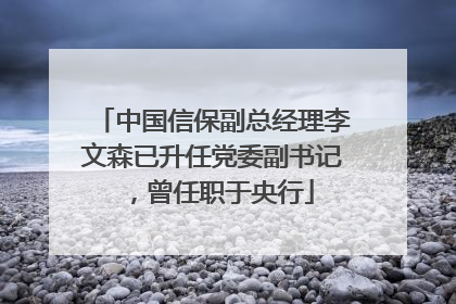 中国信保副总经理李文森已升任党委副书记，曾任职于央行