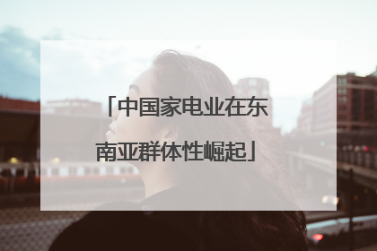 中国家电业在东南亚群体性崛起