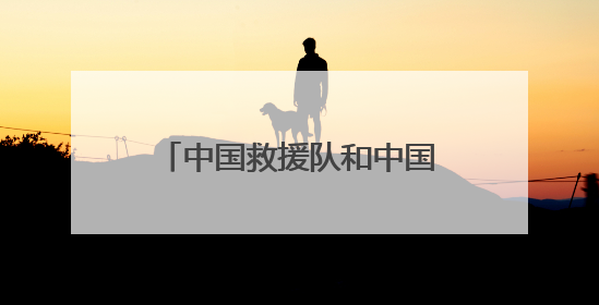 中国救援队和中国国际救援队顺利通过联合国国际重型救援队能力复测