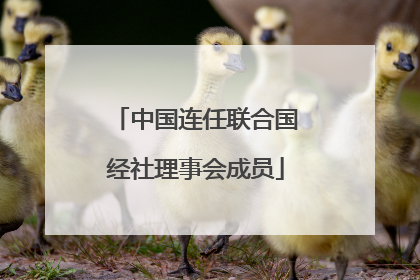 中国连任联合国经社理事会成员