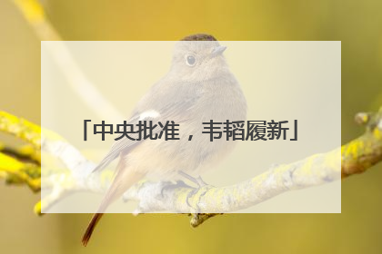 中央批准，韦韬履新