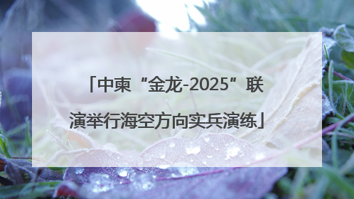 中柬“金龙-2025”联演举行海空方向实兵演练