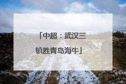 中超：武汉三镇胜青岛海牛