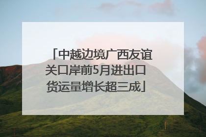 中越边境广西友谊关口岸前5月进出口货运量增长超三成