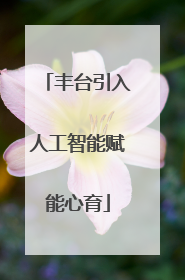 丰台引入人工智能赋能心育