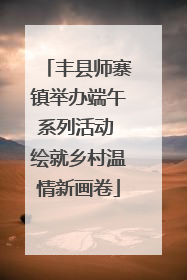 丰县师寨镇举办端午系列活动 绘就乡村温情新画卷