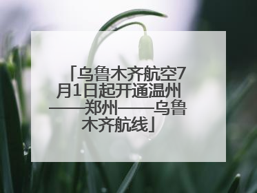 乌鲁木齐航空7月1日起开通温州——郑州——乌鲁木齐航线