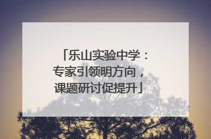 乐山实验中学：专家引领明方向，课题研讨促提升