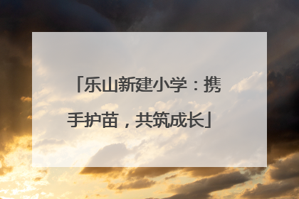 乐山新建小学：携手护苗，共筑成长