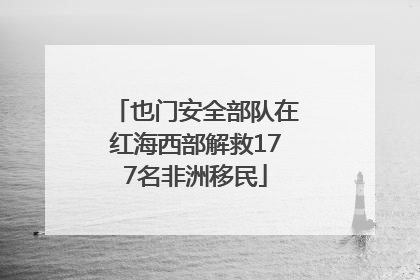 也门安全部队在红海西部解救177名非洲移民