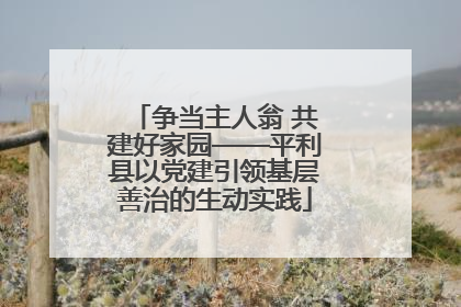 争当主人翁 共建好家园——平利县以党建引领基层善治的生动实践