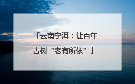云南宁洱：让百年古树“老有所依”