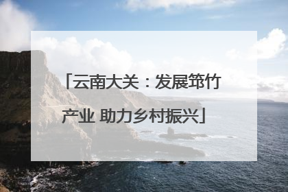 云南大关：发展筇竹产业 助力乡村振兴