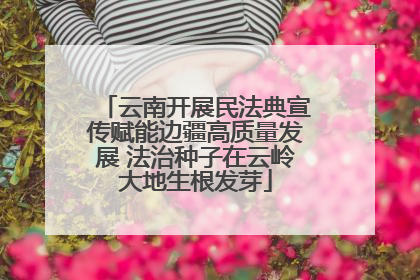 云南开展民法典宣传赋能边疆高质量发展 法治种子在云岭大地生根发芽