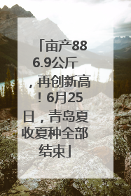 亩产886.9公斤，再创新高！6月25日，青岛夏收夏种全部结束