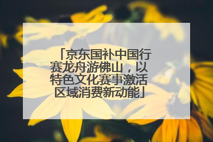 京东国补中国行赛龙舟游佛山，以特色文化赛事激活区域消费新动能