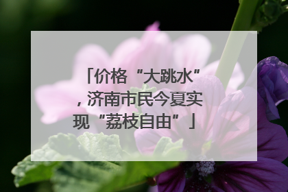 价格“大跳水”，济南市民今夏实现“荔枝自由”