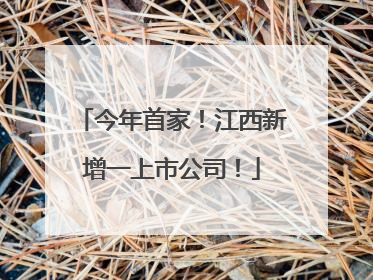 今年首家！江西新增一上市公司！