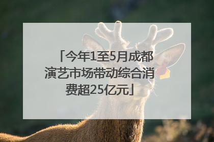 今年1至5月成都演艺市场带动综合消费超25亿元