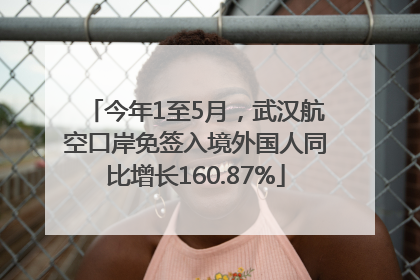 今年1至5月，武汉航空口岸免签入境外国人同比增长160.87%