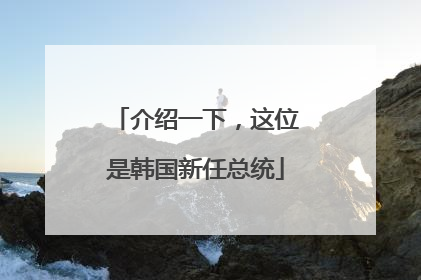 介绍一下，这位是韩国新任总统