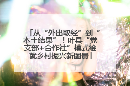从“外出取经”到“本土结果”！叶县“党支部+合作社”模式绘就乡村振兴新图景
