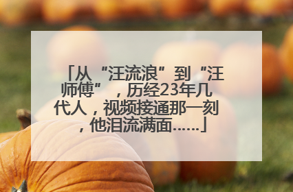 从“汪流浪”到“汪师傅”，历经23年几代人，视频接通那一刻，他泪流满面……