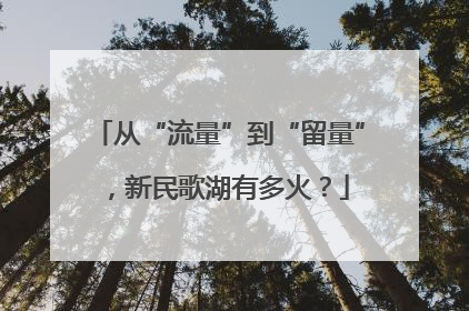 从“流量”到“留量”，新民歌湖有多火？