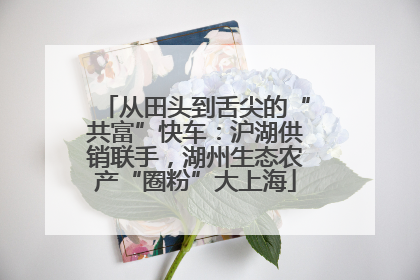 从田头到舌尖的“共富”快车：沪湖供销联手，湖州生态农产“圈粉”大上海