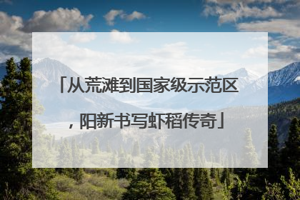 从荒滩到国家级示范区，阳新书写虾稻传奇