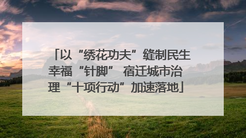 以“绣花功夫”缝制民生幸福“针脚” 宿迁城市治理“十项行动”加速落地
