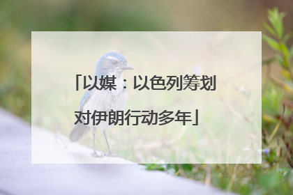 以媒：以色列筹划对伊朗行动多年