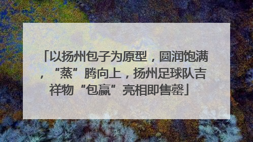 以扬州包子为原型，圆润饱满，“蒸”腾向上，扬州足球队吉祥物“包赢”亮相即售罄