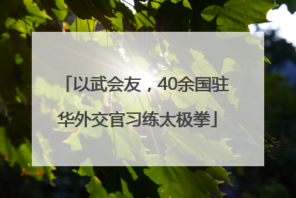 以武会友，40余国驻华外交官习练太极拳