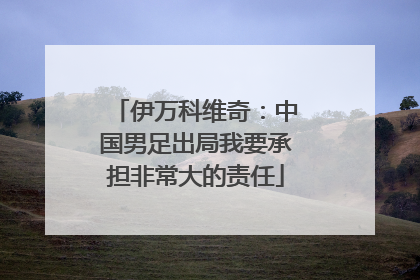 伊万科维奇：中国男足出局我要承担非常大的责任