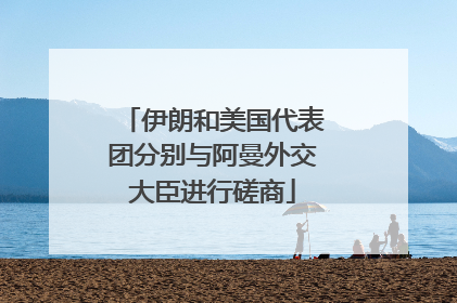 伊朗和美国代表团分别与阿曼外交大臣进行磋商