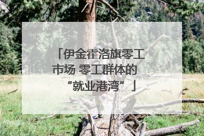 伊金霍洛旗零工市场 零工群体的“就业港湾”
