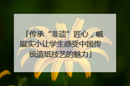 传承“非遗”匠心，峨眉实小让学生感受中国传统造纸技艺的魅力
