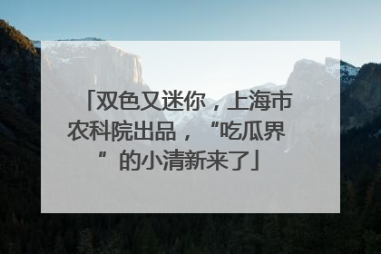 双色又迷你，上海市农科院出品，“吃瓜界”的小清新来了